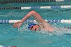 MSwim vs USCGA  Men’s Swimming & Diving vs US Coast Guard Academy. : MSwim, swimming